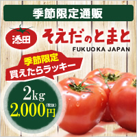 トマト季節限定通販