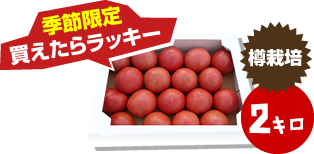 トマト2Kg