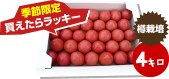 トマト4Kg
